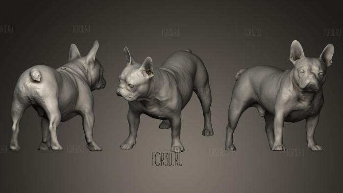 DOG Male Muffin A stl model for CNC